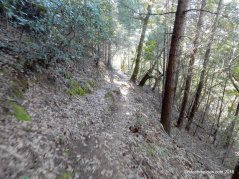 palisades trail