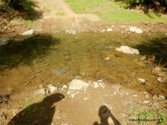 sinbad creek trail