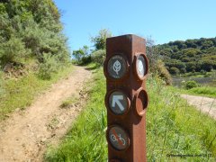 honker bay trail