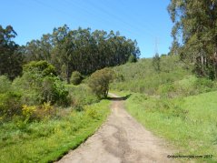 brandon trail