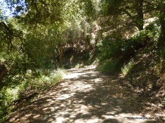 maguire peaks loop trail