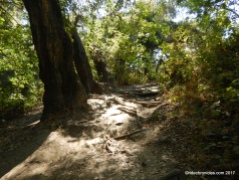 wildcat gorge trail