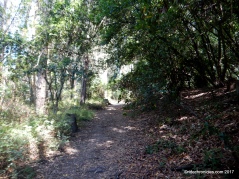 curran trail