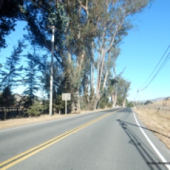 nicasio valley rd