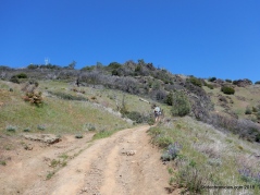 summit trail