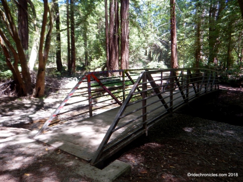 redwood trail