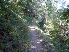 bear creek trail