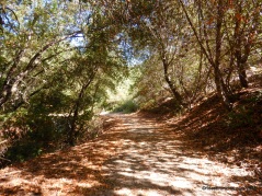 oursan trail