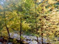 sutter creek